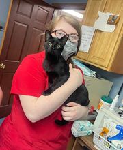 Country Hills Veterinary Hospital: Greene Mark DVM image 19