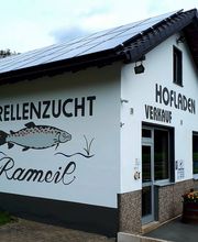 Sauerländer Forellenzucht Thomas Rameil Bild 1