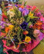 Budberger Blümchen Bild 5