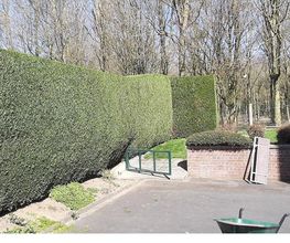 Thurette Paysage image 4