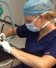 Pooler Veterinary Hospital image 11