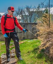 Pied Piper Pest, Termite & Lawn Services image 18