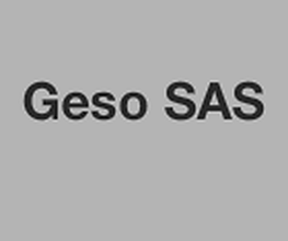 Geso SAS image 2