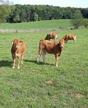 Hofladen Herbert Wey Bild 1