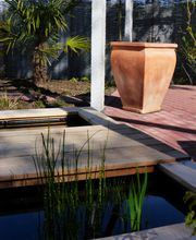 Stark im Garten Bild 42