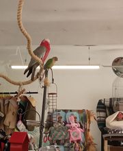 Christine Anima Rivera image 1