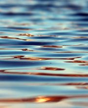 Stillwater Properties image 5