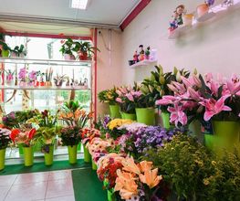 Le Langage Des Fleurs image 5