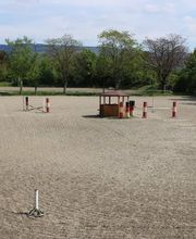 Reitschule Equo Deluxe Bild 3
