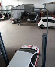 Gallery Cliente