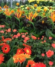 hagebaumarkt Schwerin Bild 16