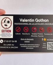 Gothon Dératisation Désinsectisation Désinfection image 2