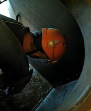 Green&Safe Distribution image 11