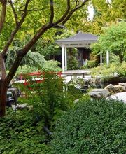 Schwanenland-Gala UG Bild 1