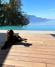 schmid architectes SA Bild 1