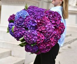 Fleuriot Fleurs, Fleuriste la Corraterie Bild 14