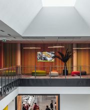 Moliere Christine image 4