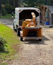 Owen's Tree Expert image 10