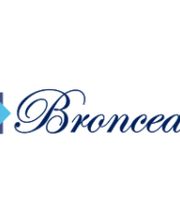LOGO_BRONCEART.png