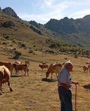 Pinsos Cortada imagen 7