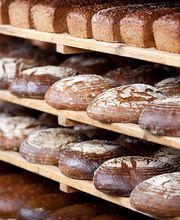 lebensmittelindustrie Schädlingsbekämpfung | BioS Schädlingsbekämpfung | München