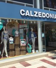 Calzedonia imagen 1