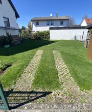 Gartenservice Mark Miess Bild 29