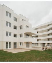 11781028-2-rpExGd7fMh1776177114653.jpeg