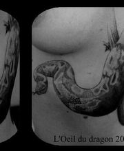 L'Oeil du Dragon image 6