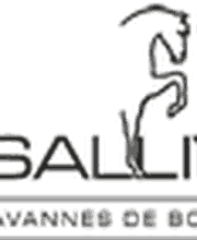 Manège de la Sallivaz & Poney club Bild 7