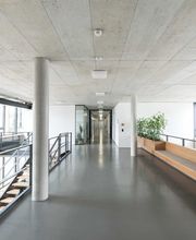 Foto und Filmproduktion Laila Tkotz Heller Gang mit Pflanzen und moderner Innenarchitektur in Bürogebäude