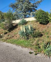 Rey Paysage image 2