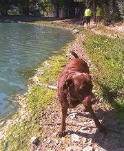 Brentwood Animal Campus image 20