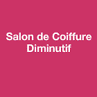 Salon De Coiffure Diminutif