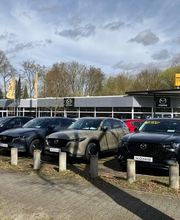 Autohaus König Frankfurt/Oder Bild 2