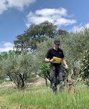 Smart Electro image 3