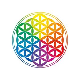 Zheng qi Acupuntura y Biomagnetismo