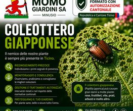 MOMO GIARDINI SA - GIARDINIERE LOCARNO, AFC / EFZ Bild 14
