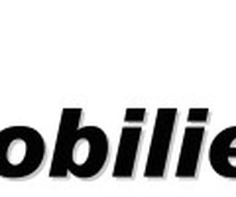 HAFF - Immobilien Bild 1