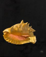 Stéphane Pannetier Le Hénaff image 12