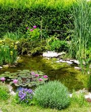 Les Jardins D'Eausol image 1