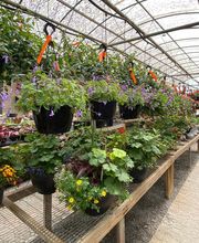 Laurie's Naturescapes image 20