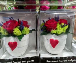 Floristería Imabel imagen 7