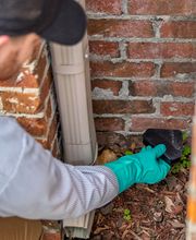 Evergreen Pest Solutions image 10