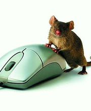 Mornac Informatique image 12