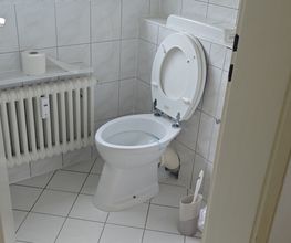 1000151821.jpg