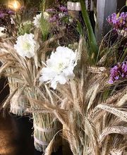 Hertig Fleurs Bild 6