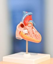 Facharzt- und Hausarztpraxis - Dres. Kaufmann & Dr. Hauck - Bad Abbach Bild 9