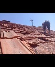 Renard Dianni image 6