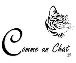 Comme Un Chat image 11